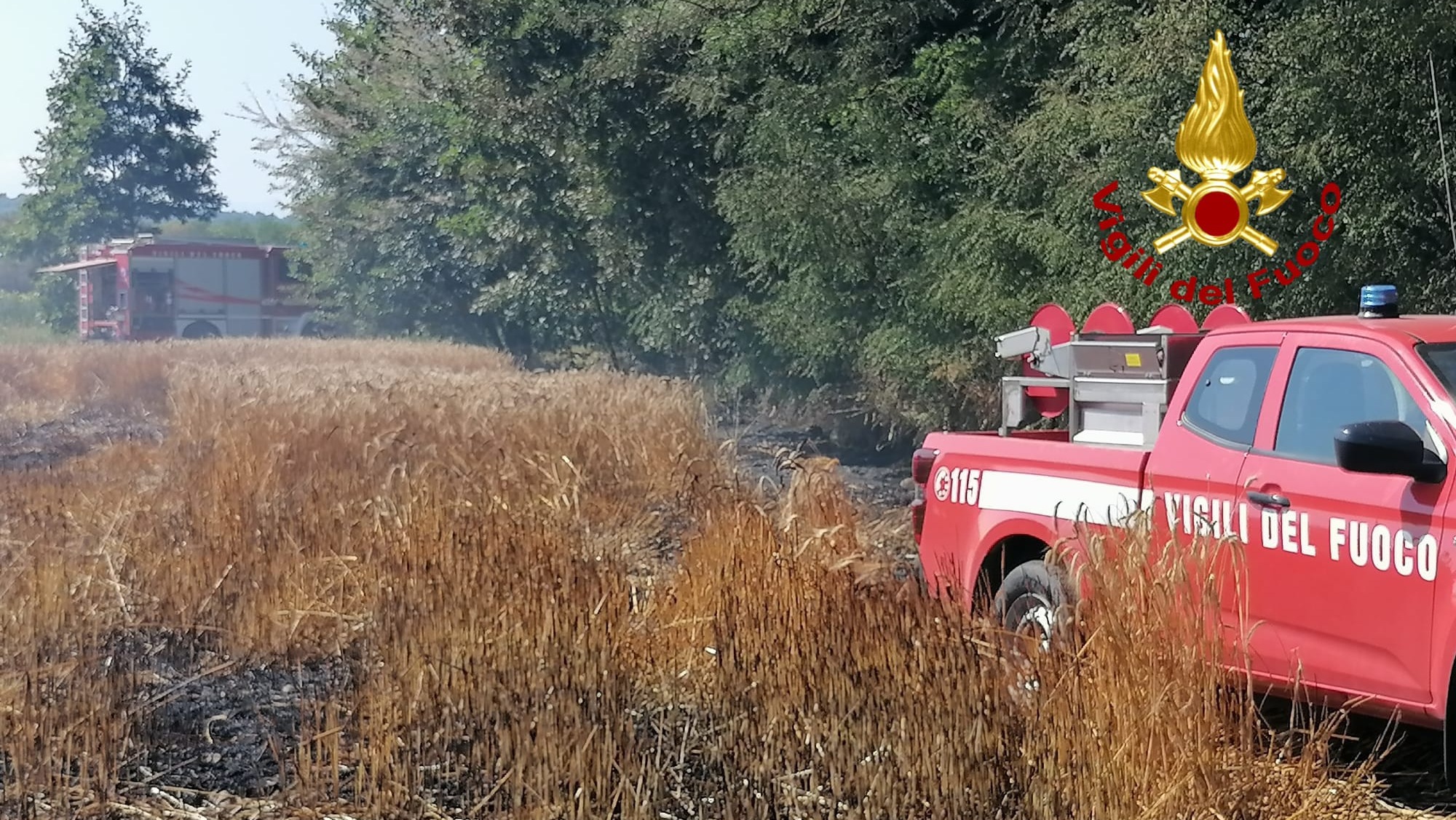 Borgo D'Ale incendio sterpagle giugno 2025 4