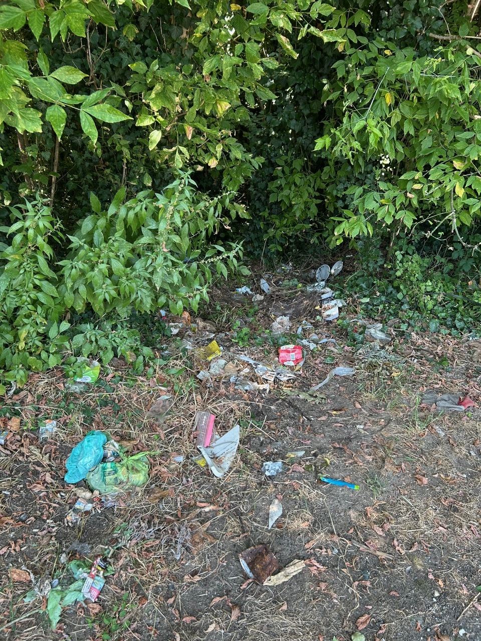Discarica via Oberdan, zona cimitero Cappuccini Vercelli, giugno 2025 4