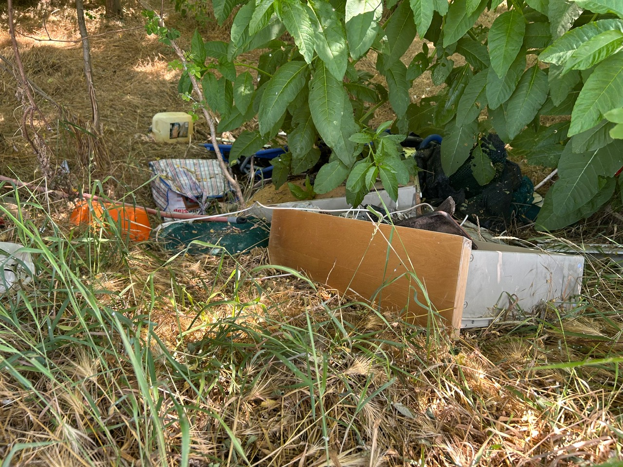 Discarica via Oberdan, zona cimitero Cappuccini Vercelli, giugno 2025 6