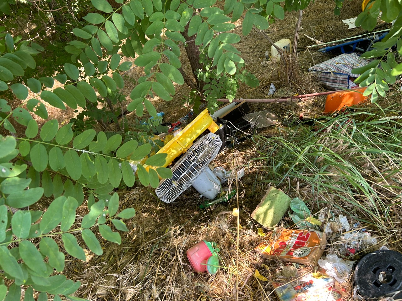 Discarica via Oberdan, zona cimitero Cappuccini Vercelli, giugno 2025 7