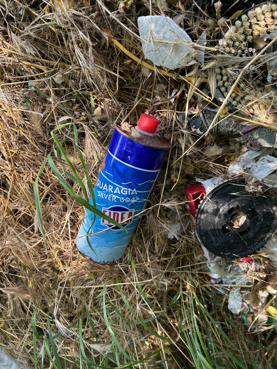 Discarica via Oberdan, zona cimitero Cappuccini Vercelli, giugno 2025 8