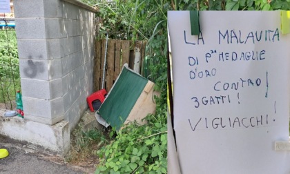 A Vercelli, umanità in via di estinzione