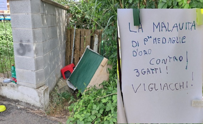 A Vercelli, umanità in via di estinzione