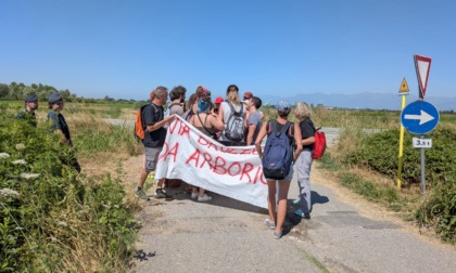 Interrogazione parlamentare sull'operato delle forze dell'ordine al sit-in di Arborio