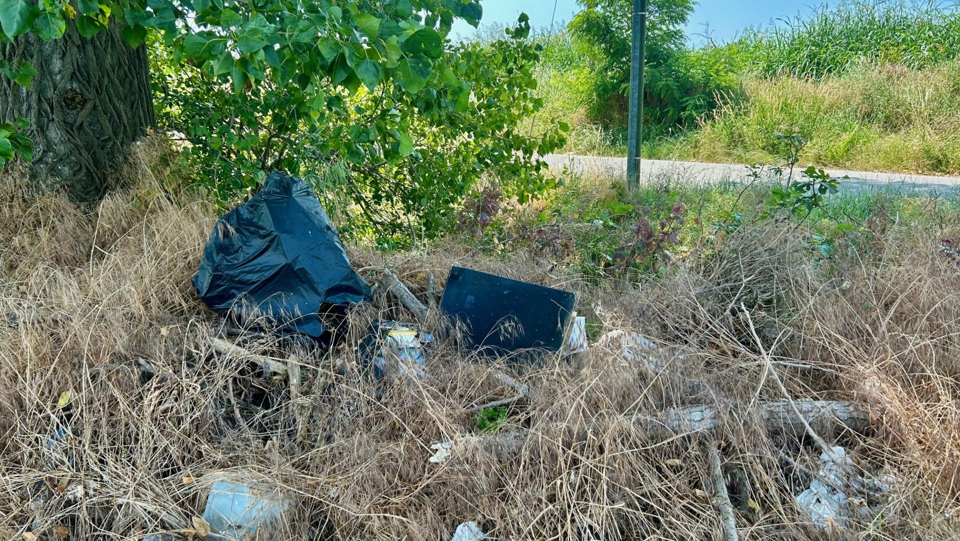 Discariche via Carengo, Vercelli-Cappuccini, giugno 2025