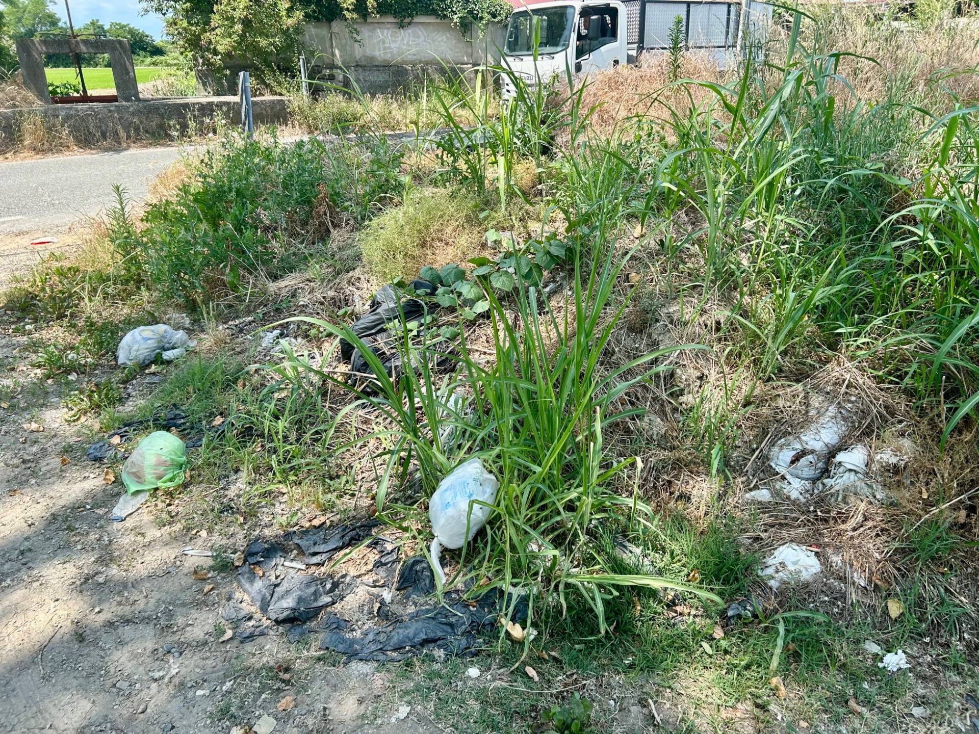 Discariche via Carengo, Vercelli-Cappuccini, giugno 2025