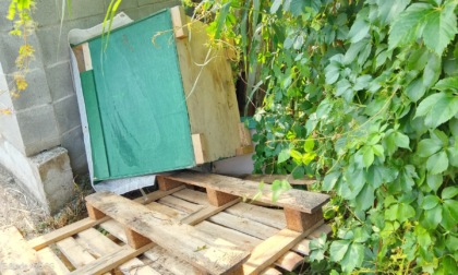 Colonia Felina Aravecchia: continuano i vandalismi
