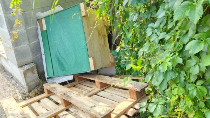 Colonia Felina Aravecchia: continuano i vandalismi