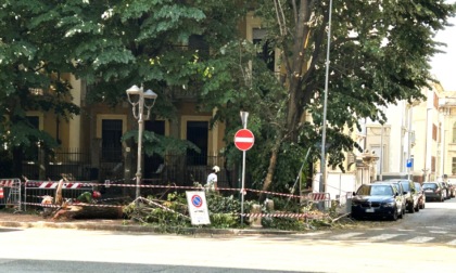 VIDEO - Maltempo: a Vercelli e nel Vercellese si contano i danni. E si sgomberano i viali dagli alberi crollati