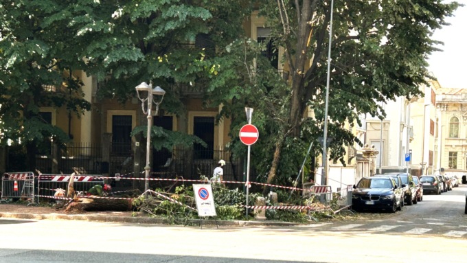 VIDEO – Maltempo: a Vercelli e nel Vercellese si contano i danni. E si sgomberano i viali dagli alberi crollati