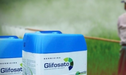 Si al Glifosato in città dalla Commissione Ambiente, Pd e Lista Bagnasco non ci stanno