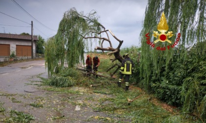 Vento a Villarboit: sono caduti pali e alberi