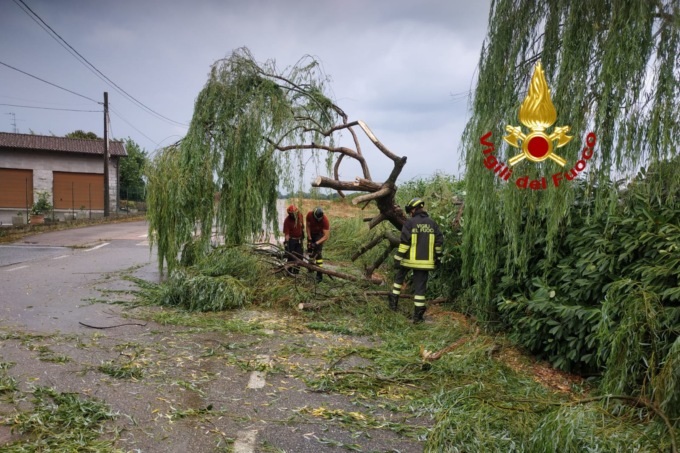 Vento a Villarboit: sono caduti pali e alberi