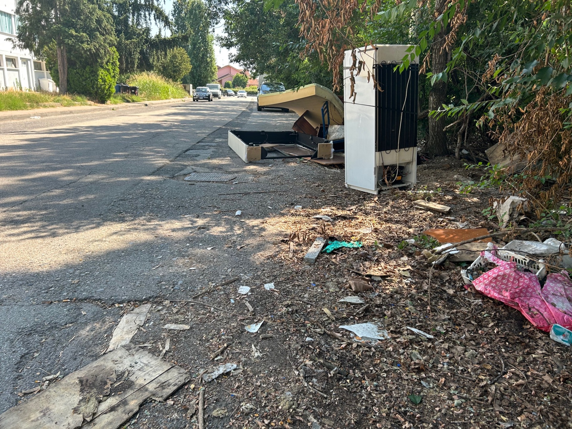 Discarica via Ranghino Cappuccini Vercelli luglio 2025 5