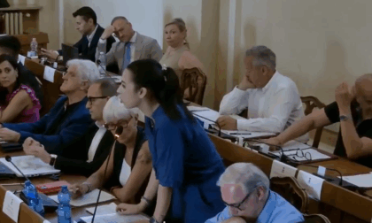 Glifosato: già 600 firme contro la decisione della Destra di riportare i diserbanti in città