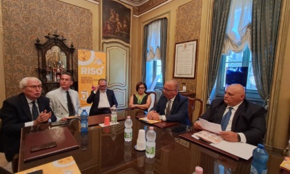 Risò a tavola: appuntamenti, ristoranti e ricette