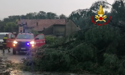 A Moncrivello alberi pericolanti, un tetto divelto