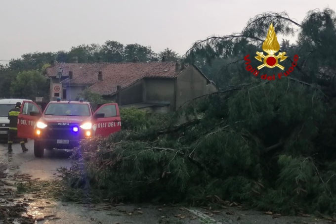 A Moncrivello alberi pericolanti, un tetto divelto