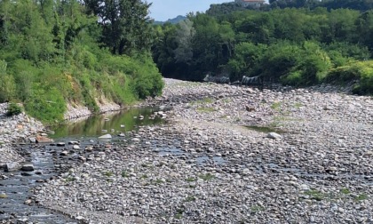 Crisi idrica nella Baraggia Biellese e Vercellese: le dighe sono indispensabili