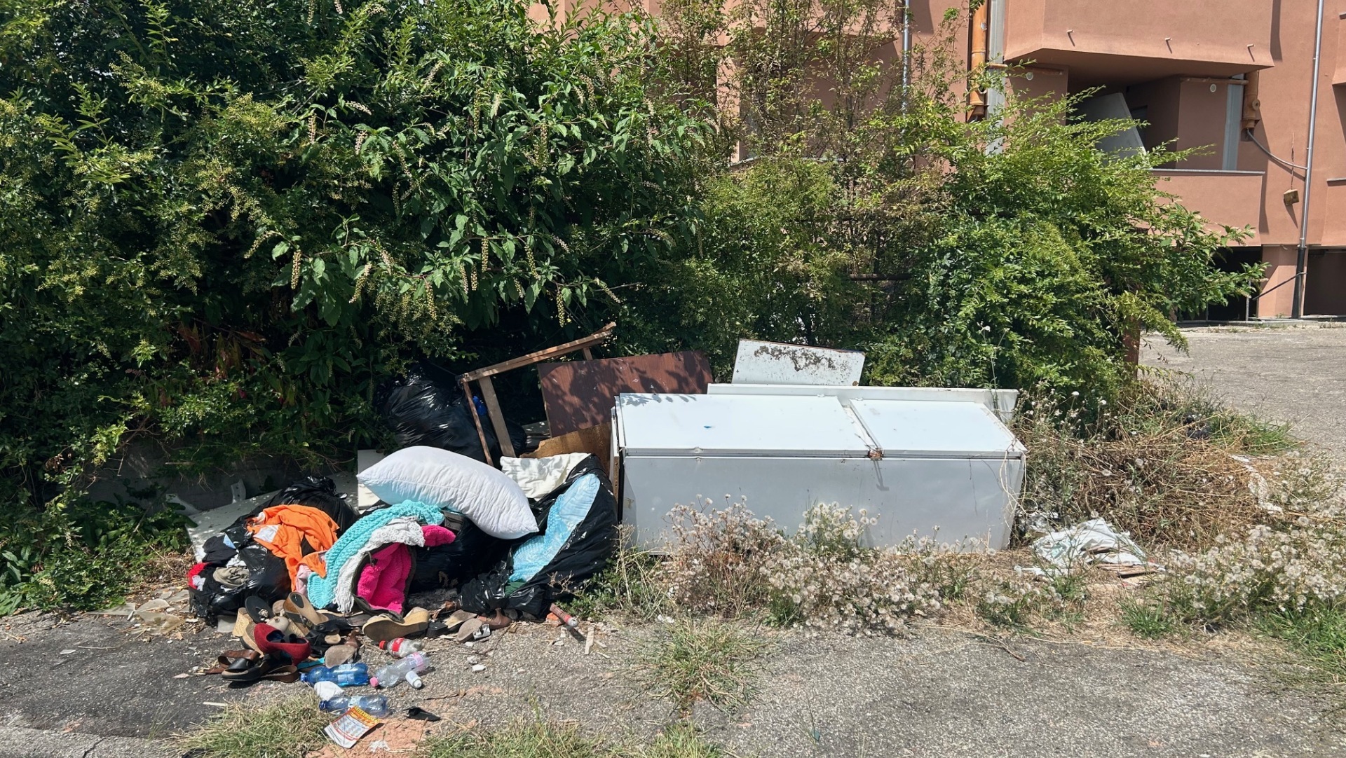 Rione Cappuccini, Vercelli: la discarica di via Pollone (angolo via Castigliano) - Agosto 2025