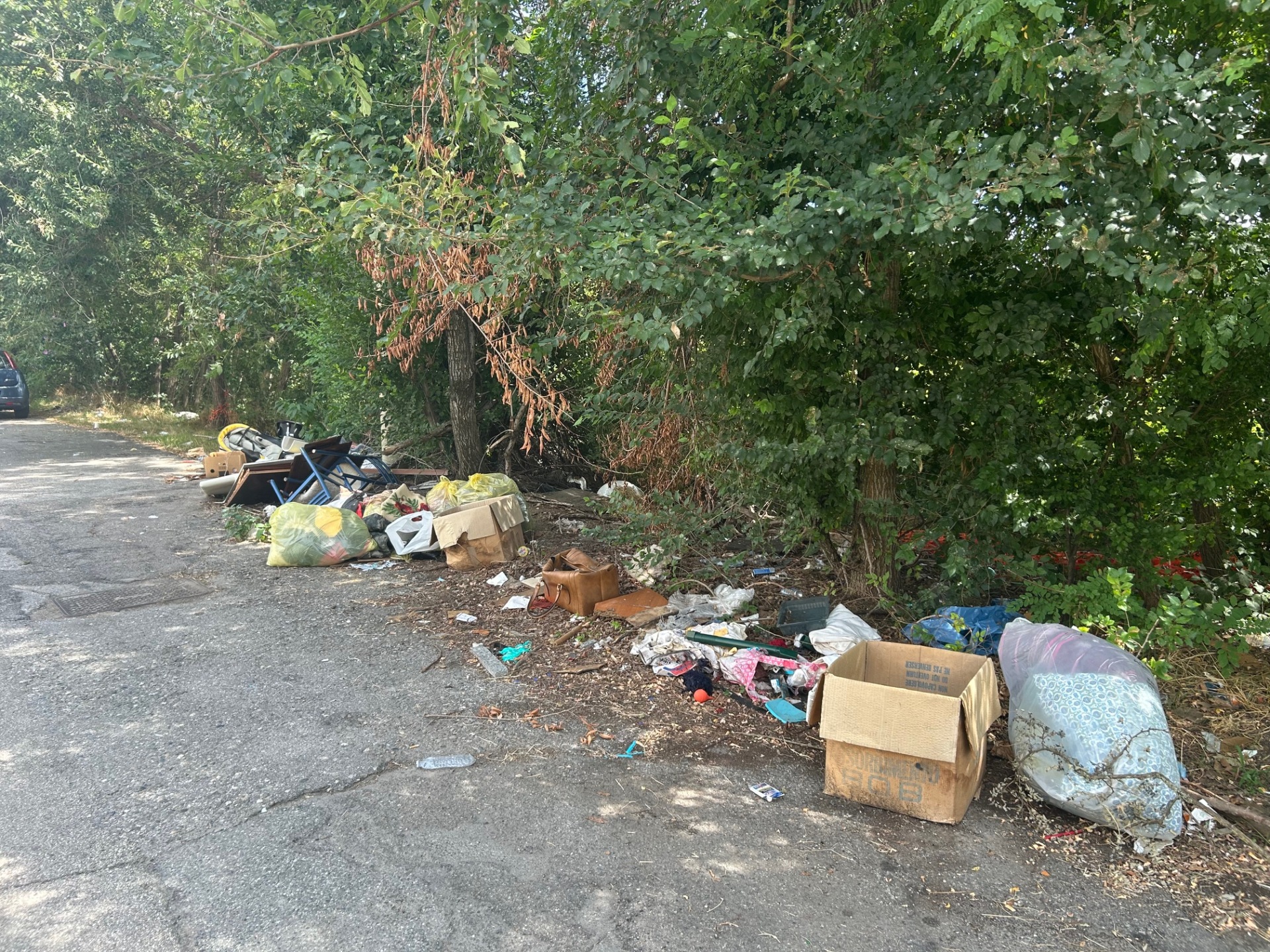 Rione Cappuccini, Vercelli: la discarica di via Ranghino - Agosto 2025