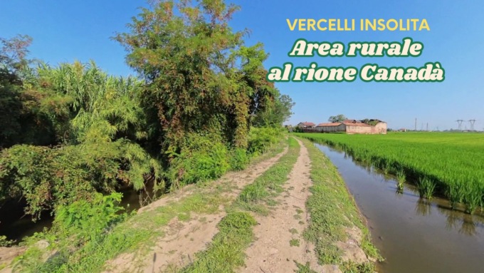 Vercelli insolita: risaie al rione Canadà