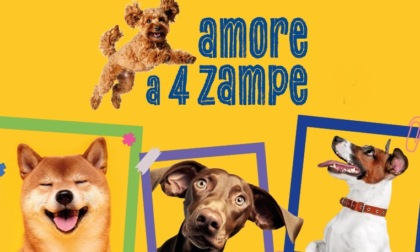 Amore a 4 zampe: inviate a Notizia Oggi Vercelli le foto dei vostri cani