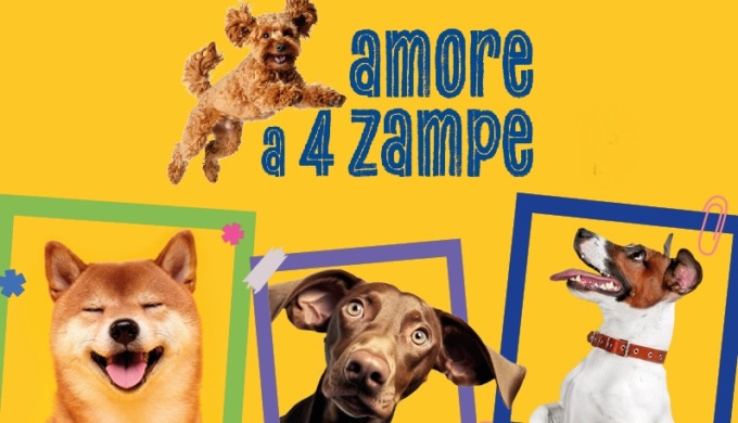 Amore a 4 zampe: inviate a Notizia Oggi Vercelli le foto dei vostri cani