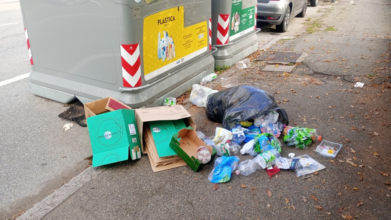 In-decoro urbano: ogni cassonetto ha la sua pena…
