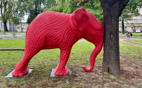 Completamente esaurite le visite gratuite alle installazioni di Cracking Art