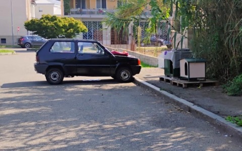 Attacchi ai mici randagi: le telecamere inchiodano due persone