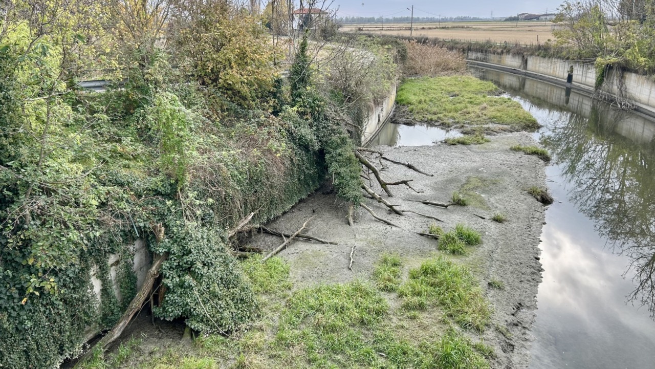 Rantiva e piante pericolanti: poi non si urli allo “scandalo” se i corsi d’acqua sono intasati…
