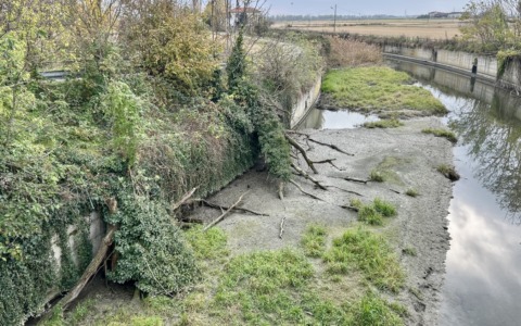 Rantiva e piante pericolanti: poi non si urli allo “scandalo” se i corsi d’acqua sono intasati…