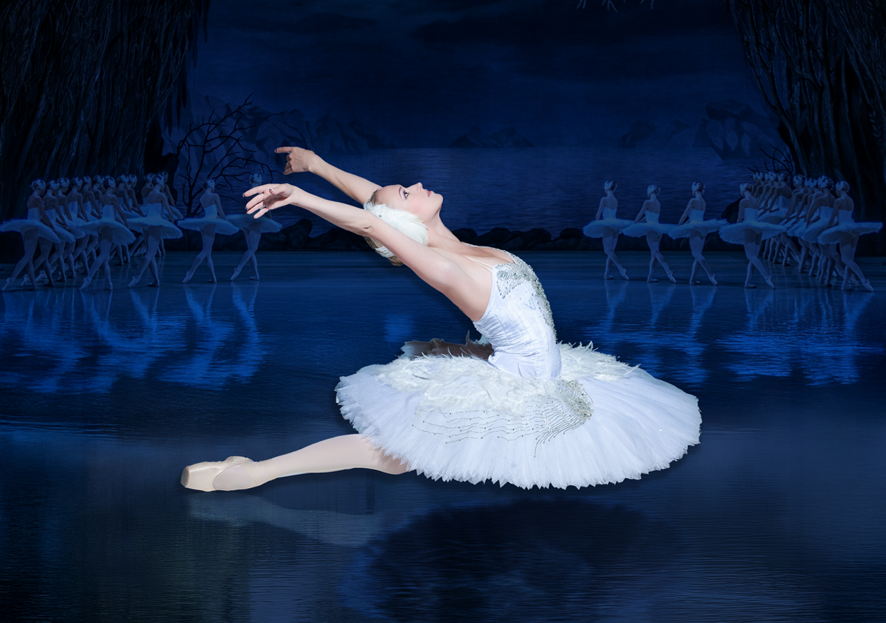 Cosa fare a Vercelli: eventi dal 14 al 16 novembre