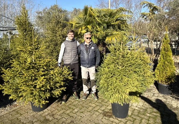 La grande idea di Floricoltura Viaro: alberi di Natale in affitto, poi tornano in natura