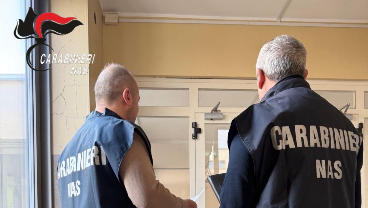 Controlli Nas nel Vercellese: oltre 21 mila euro di sanzioni e 16 persone segnalate alle autorità