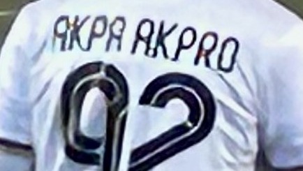 Come da noi preannunciato, ufficiale: la gara AlbinoLeffe-Pro Vercelli non è stata omologata