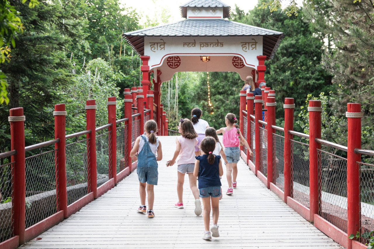 Bioparco Zoom Torino e Parco Natura Viva, 2025 da record per il gruppo Openature: 1,2 mln di visitatori e nuove specie animali in primavera