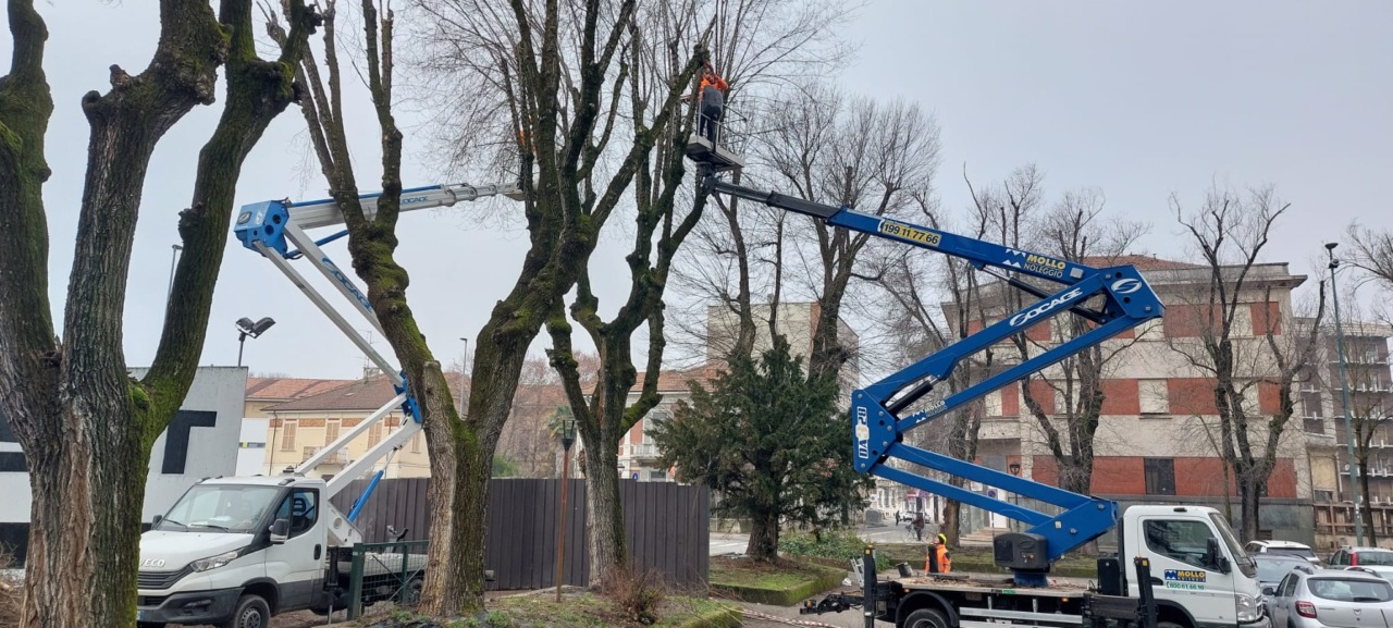 Piano potature in città: quasi mille interventi durante la stagione invernale