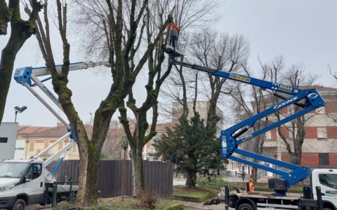 Piano potature in città: quasi mille interventi durante la stagione invernale