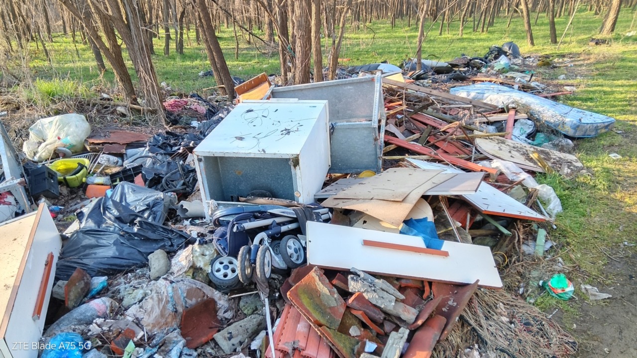 Boschi rovinati dai rifiuti e altre schifezze