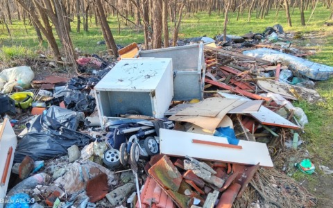 Boschi devastati da rifiuti pericolosi alle porte di Vercelli