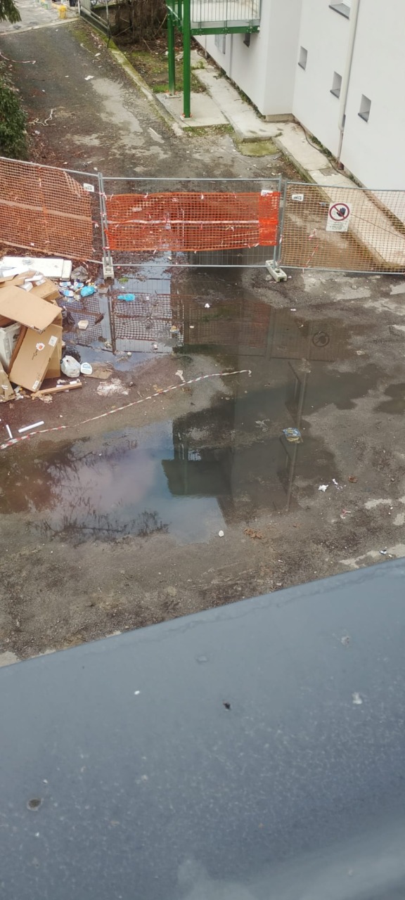 “In via Natale Palli siamo ostaggio della spazzatura e della puzza”