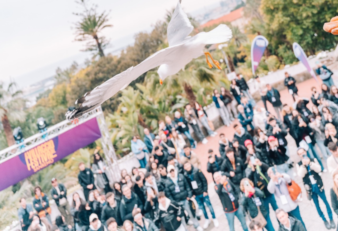 Il gabbiano guarito ha ritrovato la libertà al Villaggio del Festival di Sanremo