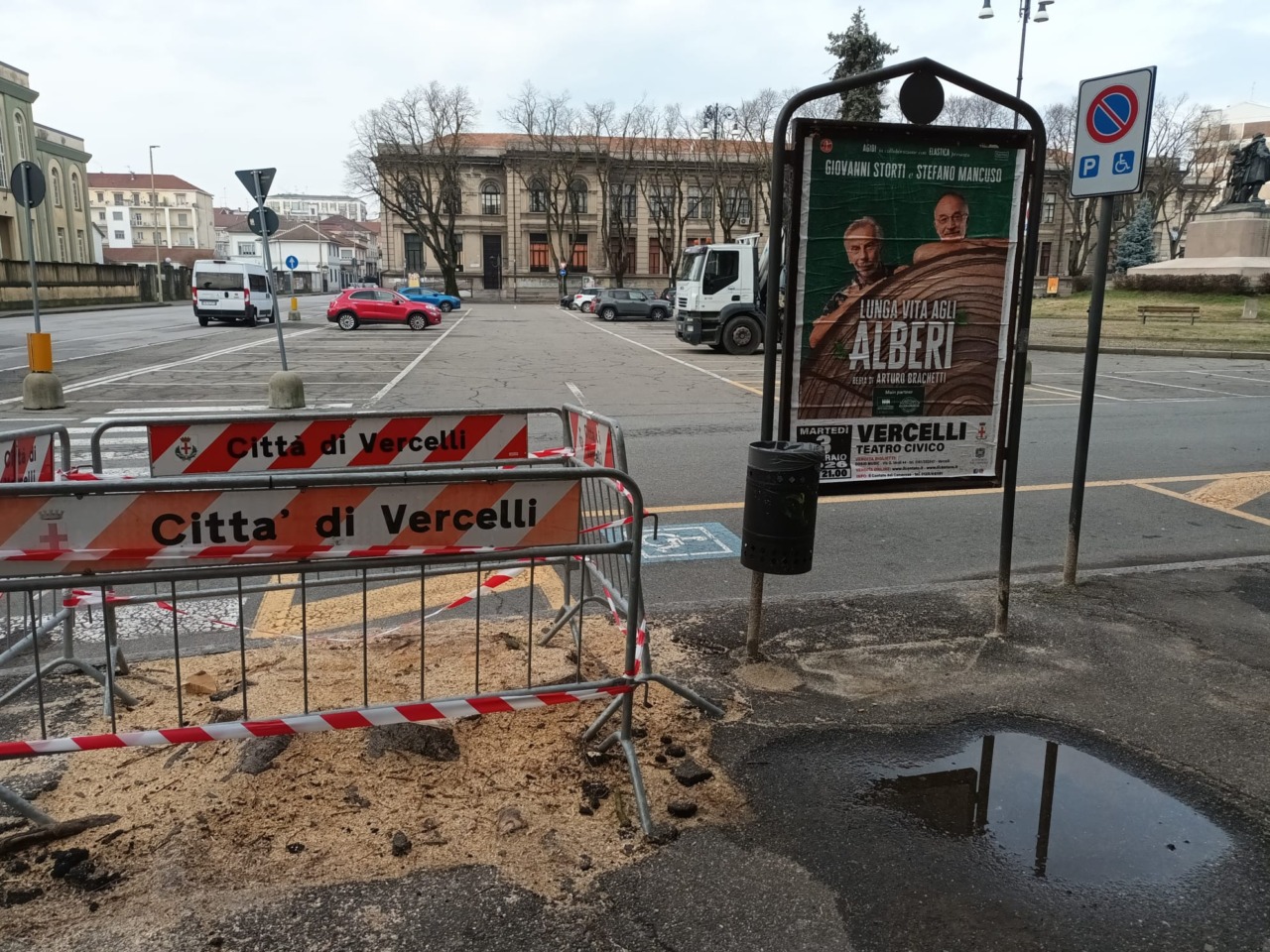 Un paradosso fotografico… ma il problema alberate è serio