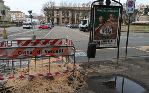 Un paradosso fotografico… ma il problema alberate è serio