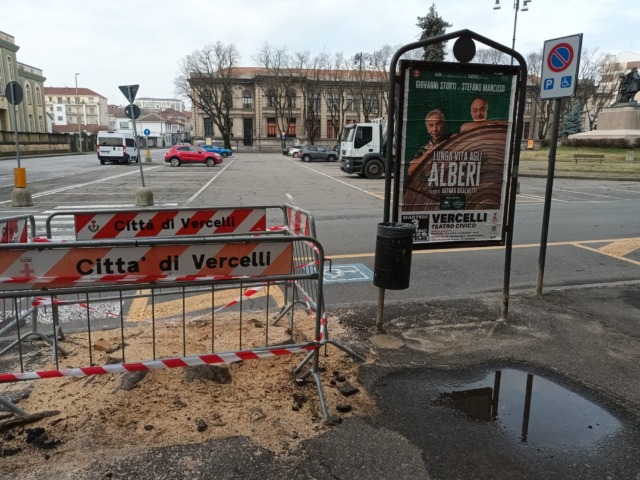 Un paradosso fotografico… ma il problema alberate è serio