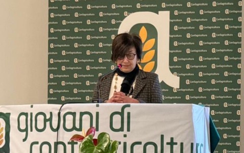 Anche dall’Ente Nazionale Risi sale un doloroso grido di allarme sulla politica europea