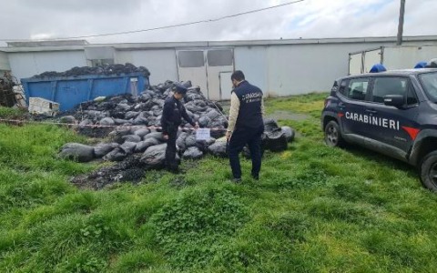 Carabinieri Forestali protagonisti nel Vercellese