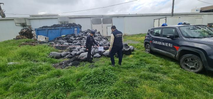 Carabinieri Forestali protagonisti nel Vercellese